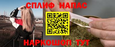 гидропоника Сланцы