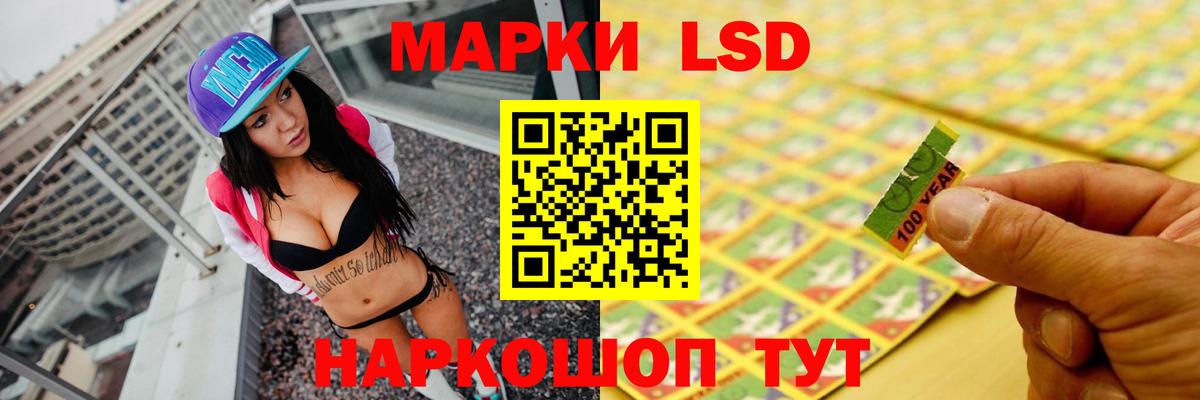 Бердск  Лсд 25 экстази ecstasy  blacksprut ТОР  LSD-25 экстази ecstasy  Вход с VPN 