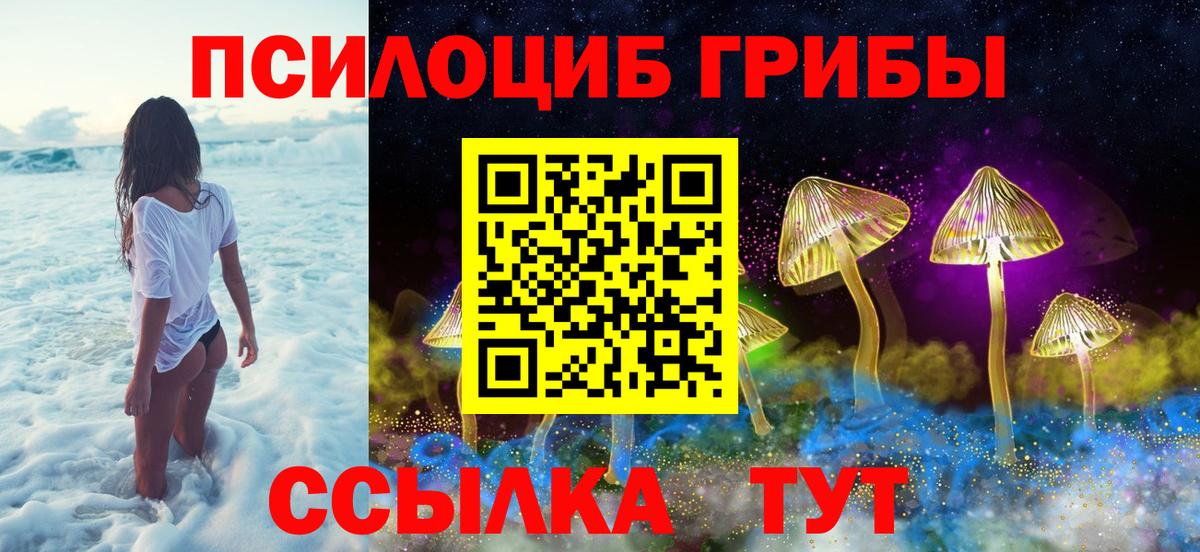Псилоцибиновые грибы ЛСД Бердск